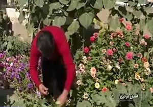 خلاقیت یک شهروند اراکی برای سرزندگی و نشاط خانواده 