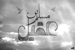 مداحی میثم مطیعی از مصائب حضرت مسلم بن عقیل!