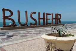 پرش زیبای نهنگ در ساحل بوشهر