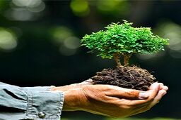 تولید کیسه های دوستدار محیط زیست!