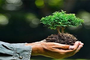 تولید کیسه های دوستدار محیط زیست!