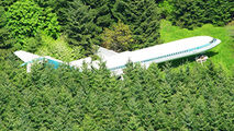 حمله ناگهانی مرغ‌های دریایی سبب فرود خطرناک هواپیما وسط مزرعه ای در روسیه شد 