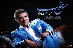کنسرت های آنلاین باید ادامه پیدا کند/ حمایت نباشد ادامه ممکن نیست 