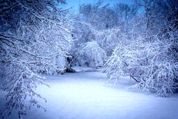 بارش شدید برف در نورآباد - لرستان